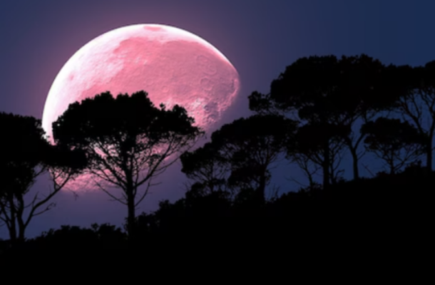 Pink Moon to Illuminate Skies This Weekend in Rare Celestial Display | Ghanaguardian.com Pink Moon to Illuminate Skies This Weekend in Rare Celestial Display