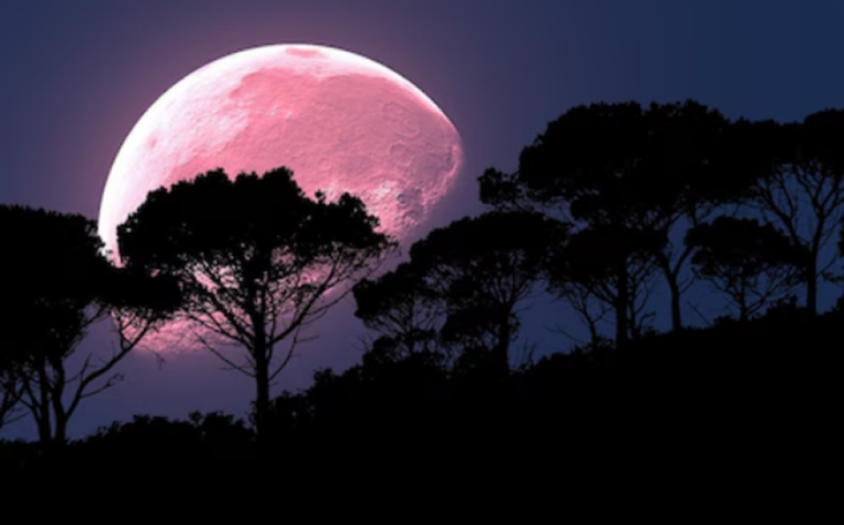Pink Moon to Illuminate Skies This Weekend in Rare Celestial Display