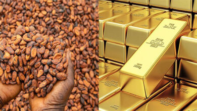 Cocoa-Gold-390x220 | Ghanaguardian.com
