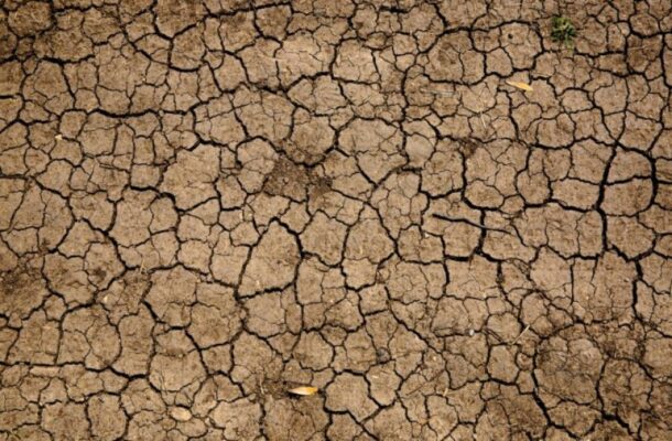 Why Climate Change is Making the Spread of Salmonella More Common