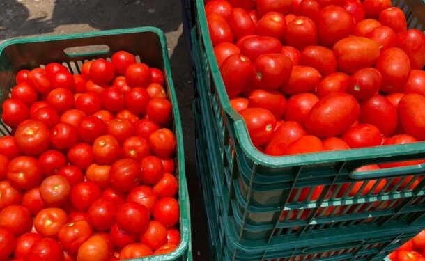 tomatoes-750x375 | Ghanaguardian.com
