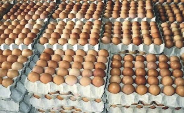 eggs-750x375 | Ghanaguardian.com