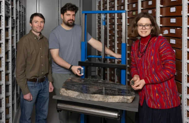 New Creature Discovered: Mystery of an 8-Metre-Tall Ancient Giant Uncovered in Scotland | Ghanaguardian.com New Creature Discovered: Mystery of an 8-Metre-Tall Ancient Giant Uncovered in Scotland