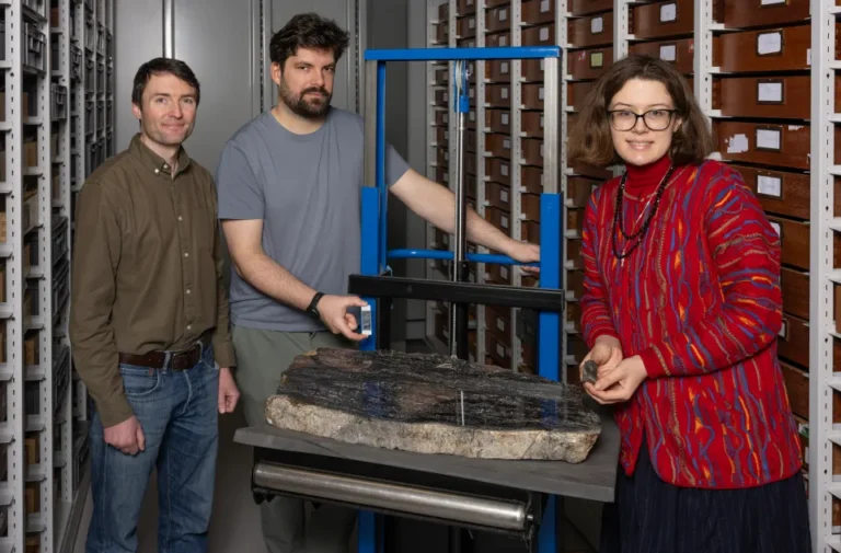 New Creature Discovered: Mystery of an 8-Metre-Tall Ancient Giant Uncovered in Scotland