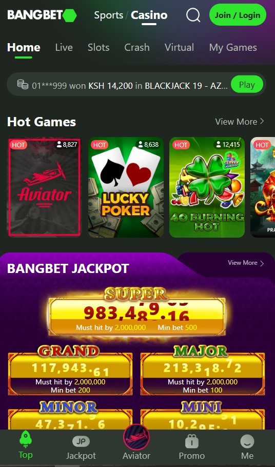 Football match crowd in Ghana  fans reacting to live game