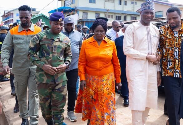 VEEP JANE | Ghanaguardian.com