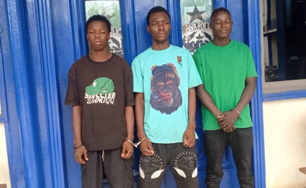 UDS students | Ghanaguardian.com