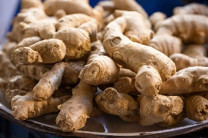Pile of fresh ginger roots with knobby beige skin on a dark plate, ready for cooking.