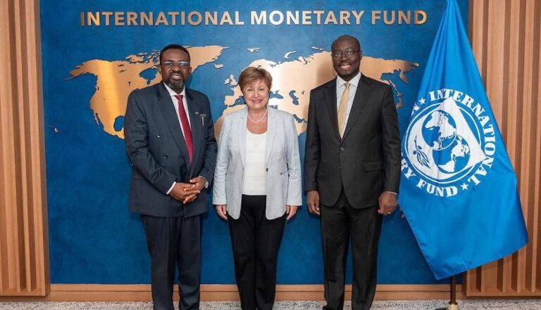 Three professionally dressed individuals pose for a photo in front of an International Monetary Fund backdrop with a world map and IMF flag nearby.