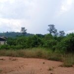 Rural scene with a low building on the left, overgrown grass, and a rusty shipping container on a dirt lot under a cloudy sky.