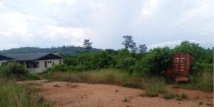 Rural scene with a low building on the left, overgrown grass, and a rusty shipping container on a dirt lot under a cloudy sky.