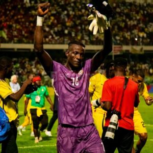 Soccer goalkeeper in purple kit (#16) raises arms in victory on a crowded stadium field, gloves in the air.
