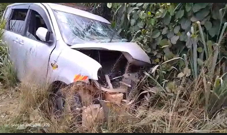Screenshot-2026-05-16-115950 | Ghanaguardian.com Silver SUV crashed into tall weeds with front-end damage and a cracked windshield.
