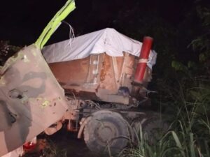 Night scene of a damaged dump truck off the road, with a tarp-covered load and a red cylindrical tank visible, surrounded by tall grass at night.