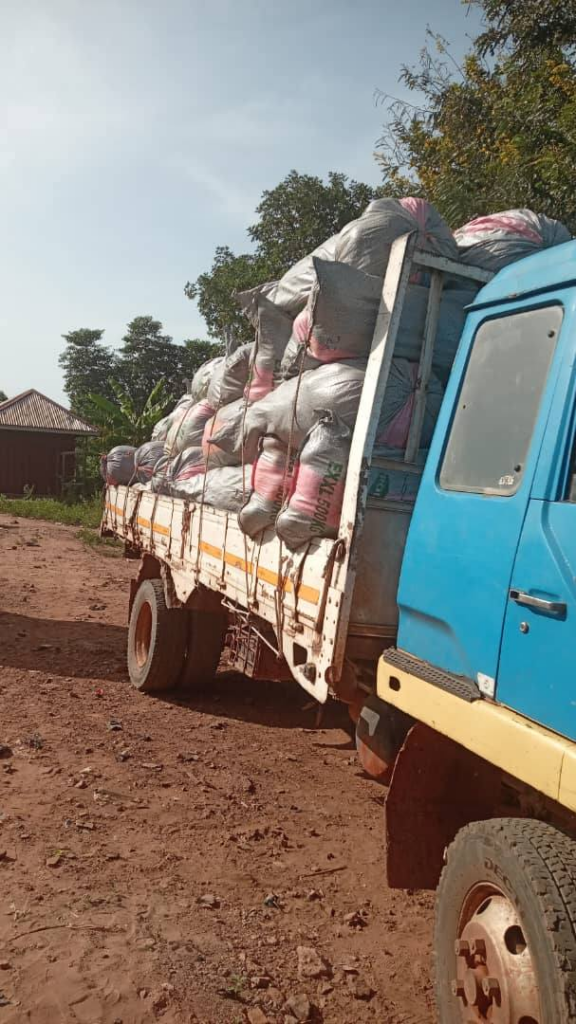 Blue flatbed truck loaded with large white and pink bags tied down on a dirt road in a rural area.