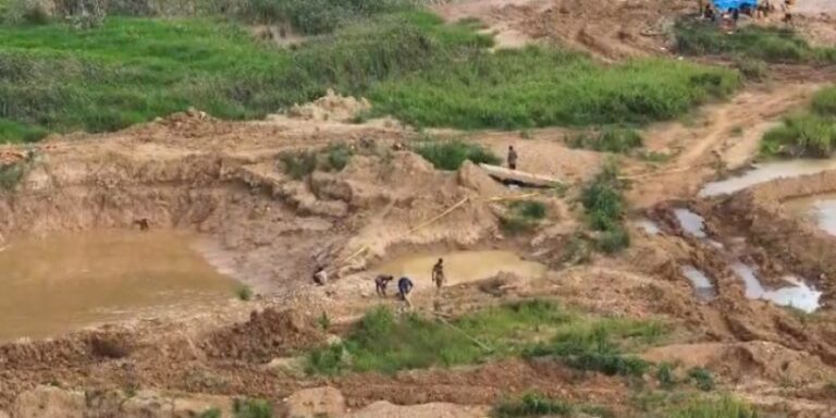 Workers dig in a muddy excavation site with small water-filled pools and a wooden plank bridge nearby, surrounded by green vegetation.
