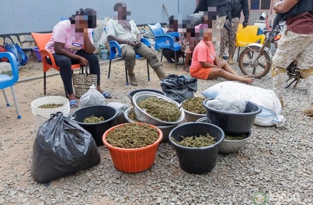 Group of people sitting on colorful plastic chairs outdoors while several buckets and bags of cannabis buds sit on the gravel ground nearby.