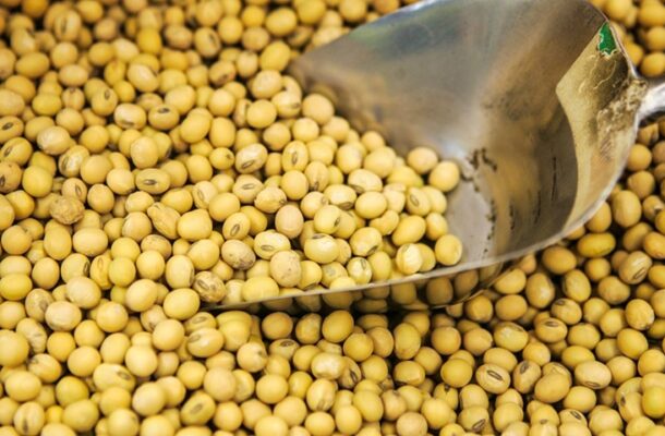 Close-up of a metal scoop buried in yellow lentils spilling across a surface, highlighting the small rounded seeds.