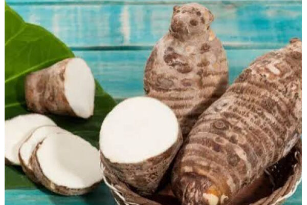 Taro roots with sliced pieces on a green leaf in a wicker basket against a turquoise wooden background.