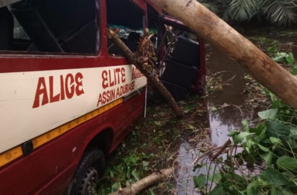 Red bus crushed by a fallen tree in a flooded area, with branches leaning on the vehicle and water around it