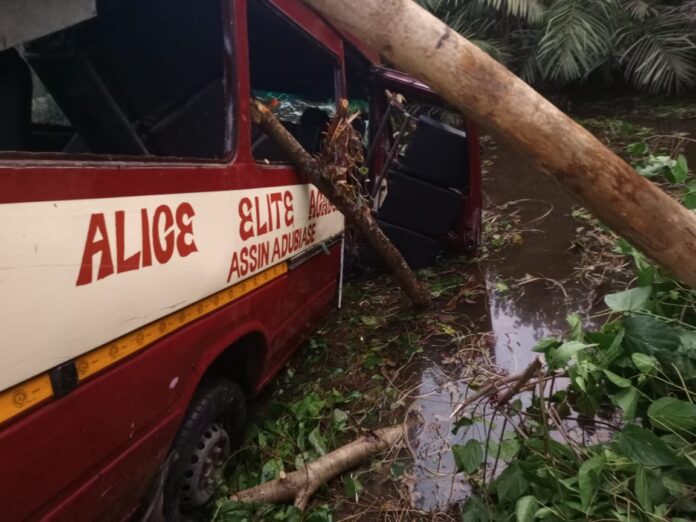 Red bus crushed by a fallen tree in a flooded area, with branches leaning on the vehicle and water around it