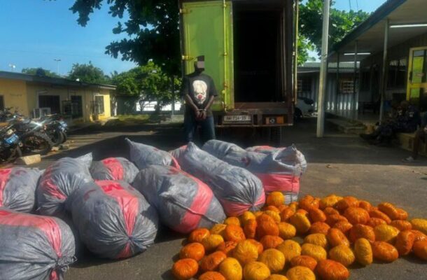 Ada-narcotics2-696x522 | Ghanaguardian.com Man standing with hands restrained in front of an open green truck trailer; gray bags with red stripes and orange pumpkins are laid out on the ground in a parking area.