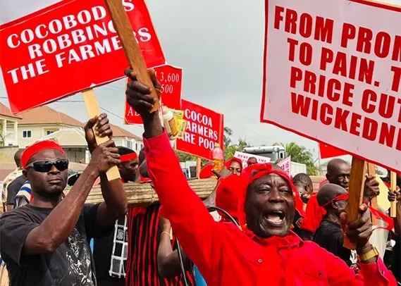 Protesters dressed in red hold placards demanding fair cocoa prices and opposing price cuts in a street demonstration.