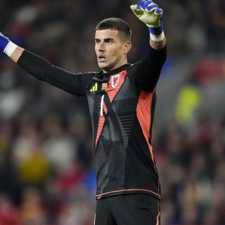 Welsh national team goalkeeper in black-red kit with gloves, arms raised in celebration on the pitch.
