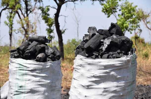 Two white sacks brimming with black charcoal sits outdoors, with trees behind them.