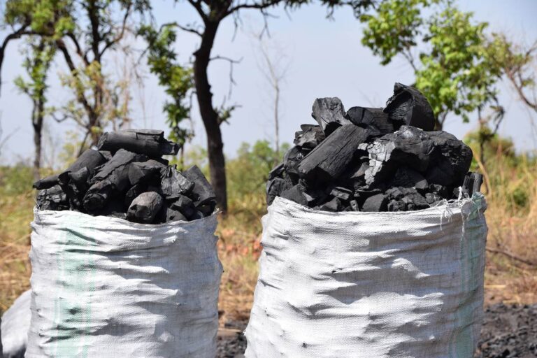 Two white sacks brimming with black charcoal sits outdoors, with trees behind them.