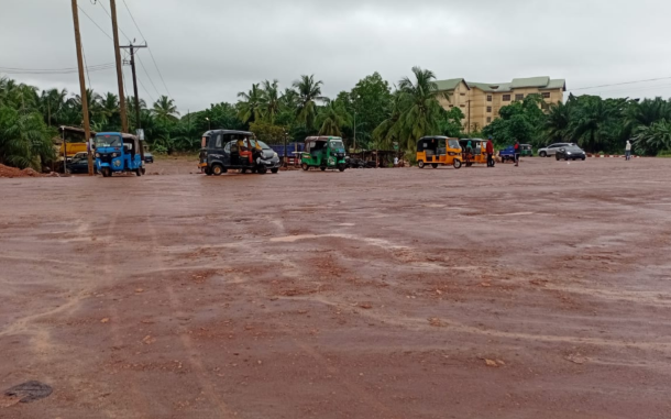Mud-filled open lot with colorful auto rickshaws and a few cars parked in a line; palm trees and a cloudy sky in the background.