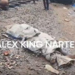A motionless body covered with a blanket lies on rocky ground at a construction area, with a watermark reading ALEX KING NARTEY across the scene.