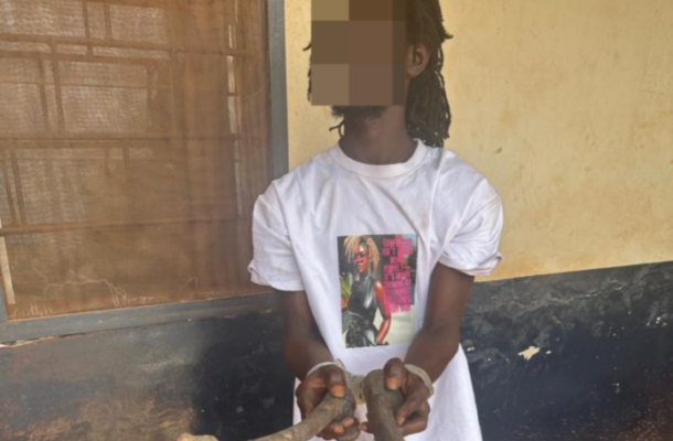 WhatsApp-Image-2026-06-22-at-072351-696x928 | Ghanaguardian.com Person with dreadlocks in a white graphic T-shirt holding a large snake with both hands, against a yellow wall; face blurred.