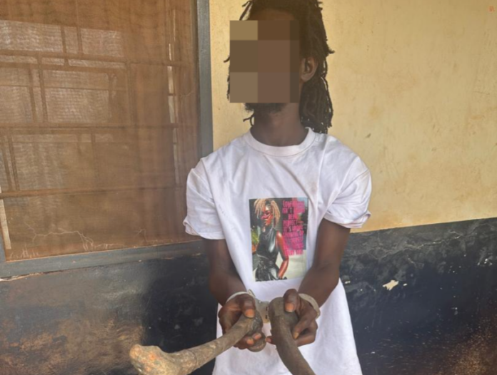 Person with dreadlocks in a white graphic T-shirt holding a large snake with both hands, against a yellow wall; face blurred.