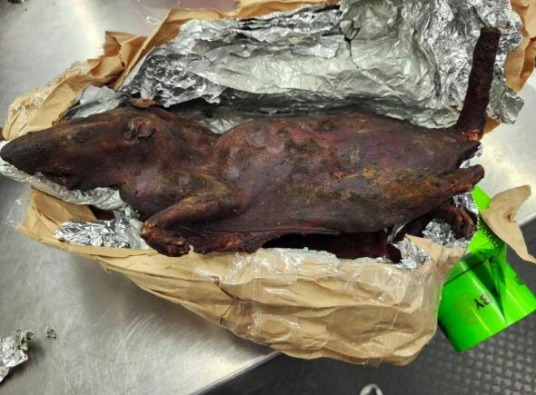 Charred roasted animal carcass on crumpled brown paper and foil on a stainless steel counter
