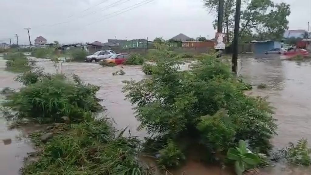 Flooded street with cars partially submerged and soaked vegetation in the foreground, indicating a severe urban flood.