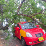 Red taxi crushed under a large tree branch, windshield shattered, parked on a wet street after a storm.