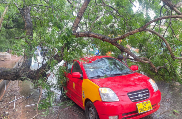 image-702-1024x768 | Ghanaguardian.com Red taxi crushed under a large tree branch, windshield shattered, parked on a wet street after a storm.