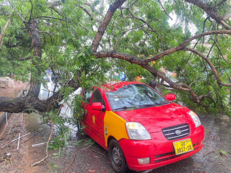 Red taxi crushed under a large tree branch, windshield shattered, parked on a wet street after a storm.
