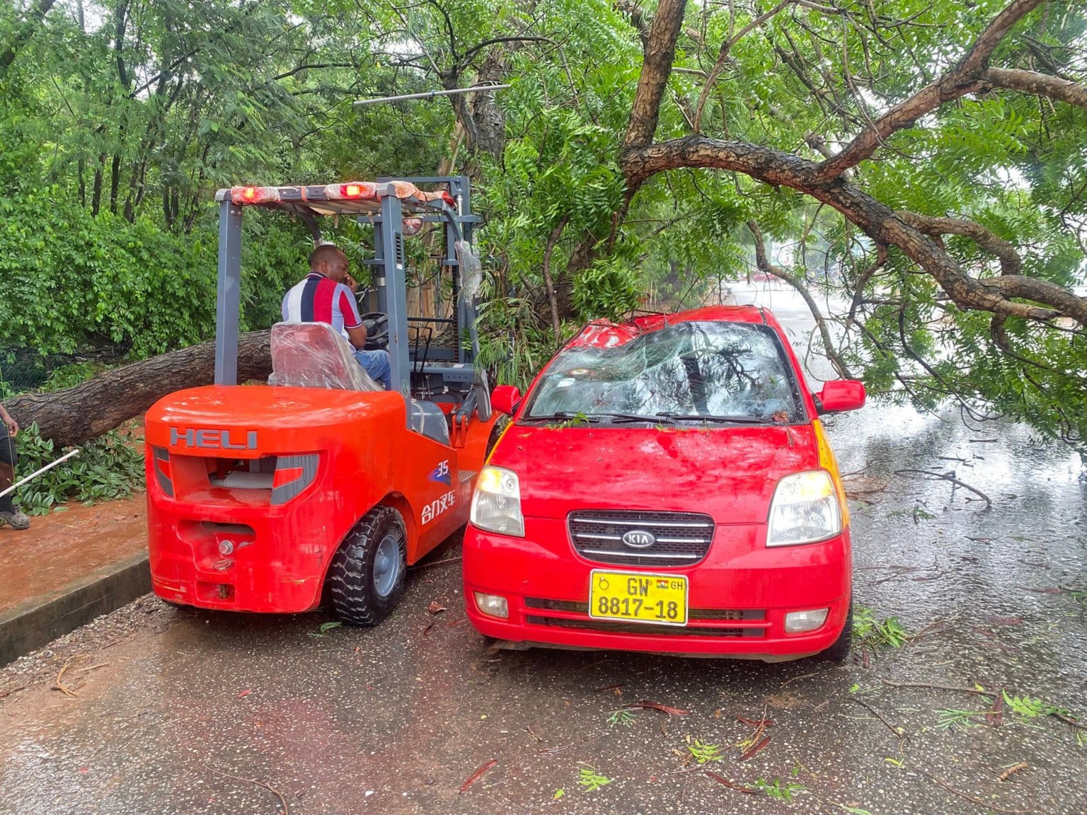 image-703-1536x1152 | Ghanaguardian.com Orange forklift beside a red car with a large tree branch resting on the windshield, worker operating the forklift to clear debris on a wet road on a rainy day/s after a storm.