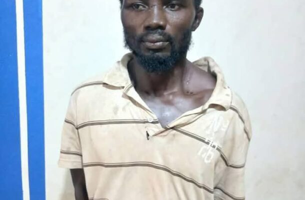 wanted man | Ghanaguardian.com Man with a bearded face stands against a light wall with a blue vertical stripe on the left, wearing a beige striped polo shirt and looking at the camera.
