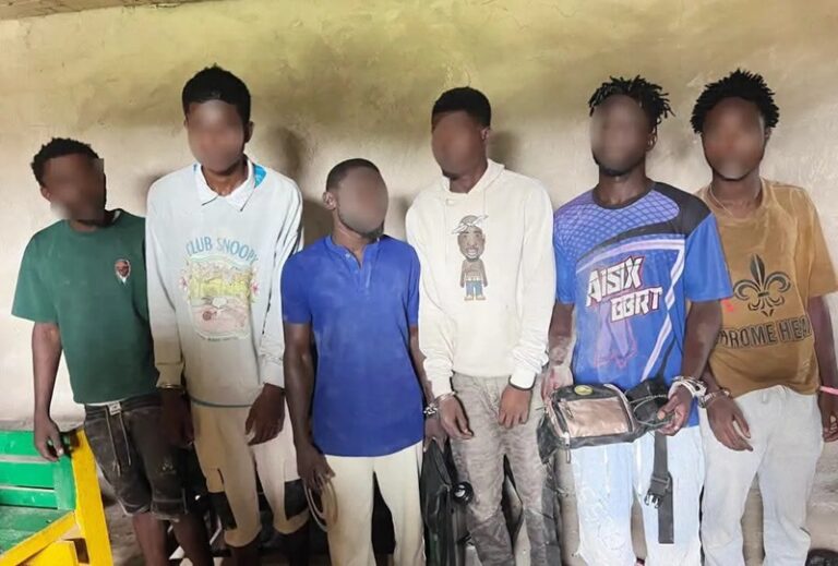 Seven young men stand in a line indoors with faces blurred, wearing casual shirts; several hold bags or backpacks.