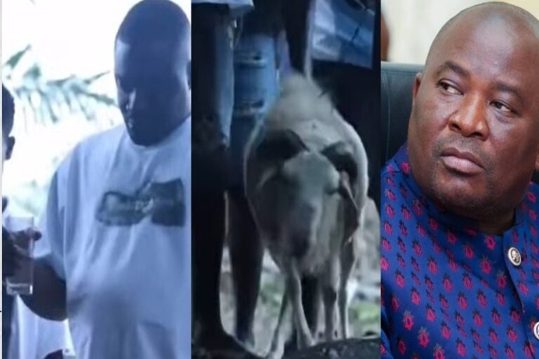 Three-panel collage: man in a white T-shirt holding a drink (left), a light-colored dog among people (center), and a man in a blue patterned shirt looking to the side (right).