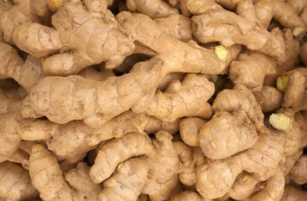 gin-635x424-1 | Ghanaguardian.com Close-up of knobby, light-brown ginger roots piled together with rough skin.