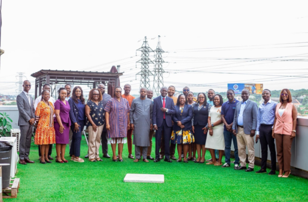 Group of professionals posing on a rooftop terrace with green artificial grass and distant power lines in the background.