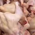 Pile of small, uncooked chickens stacked together in a poultry processing setting