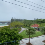 Overcast coastal park scene with palm trees, a red-roofed gazebo, a curved path, and a bridge over turquoise water.
